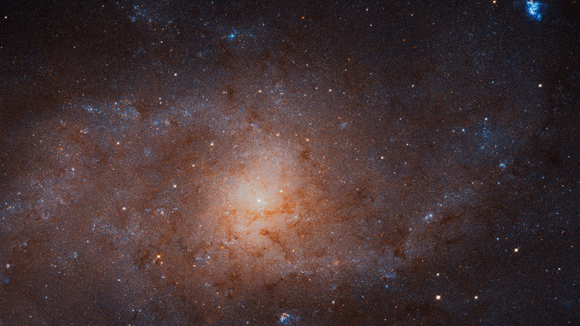 The Triangulum spiral galaxy