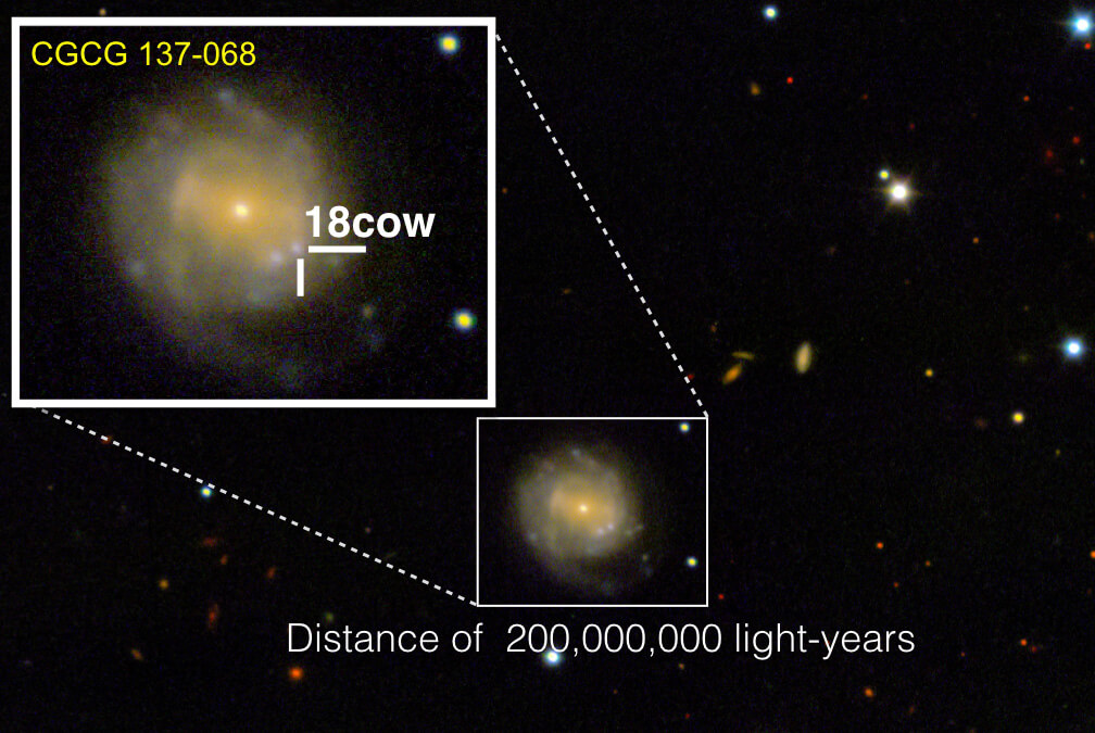 Black hole or neutron star birth event