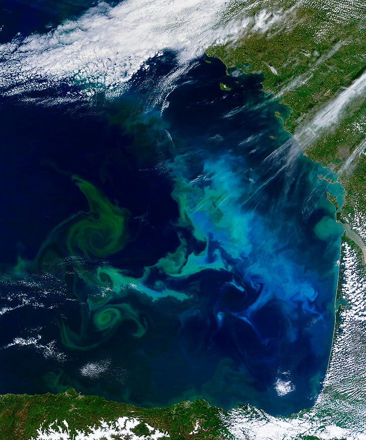 Global warming and ocean color change