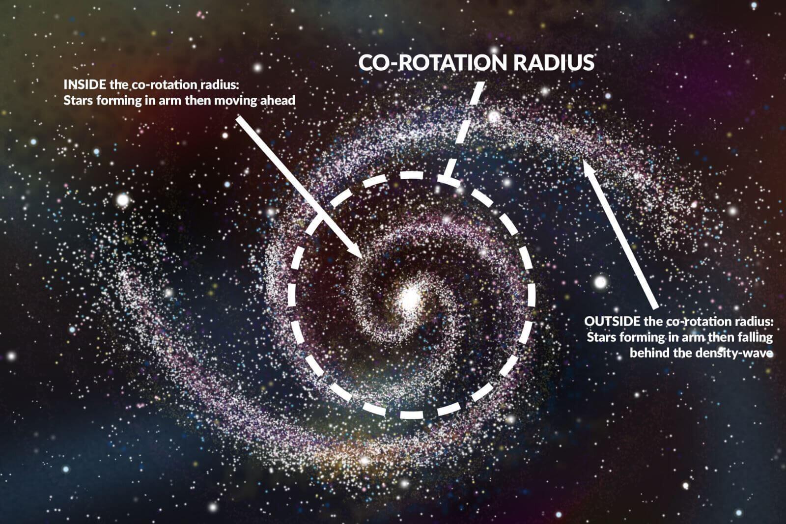 Disk galaxies